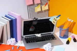 pozycjonownanie sklepu